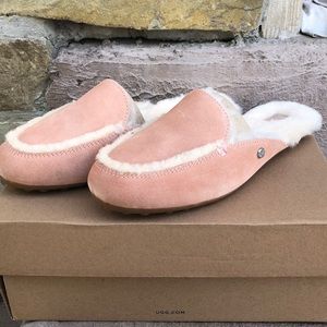 Ugg Slippers